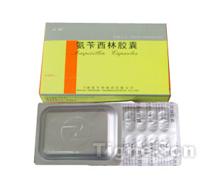 �������ֽ���