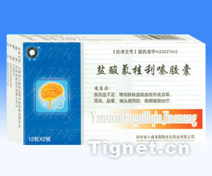 盐酸氟桂利嗪胶囊
